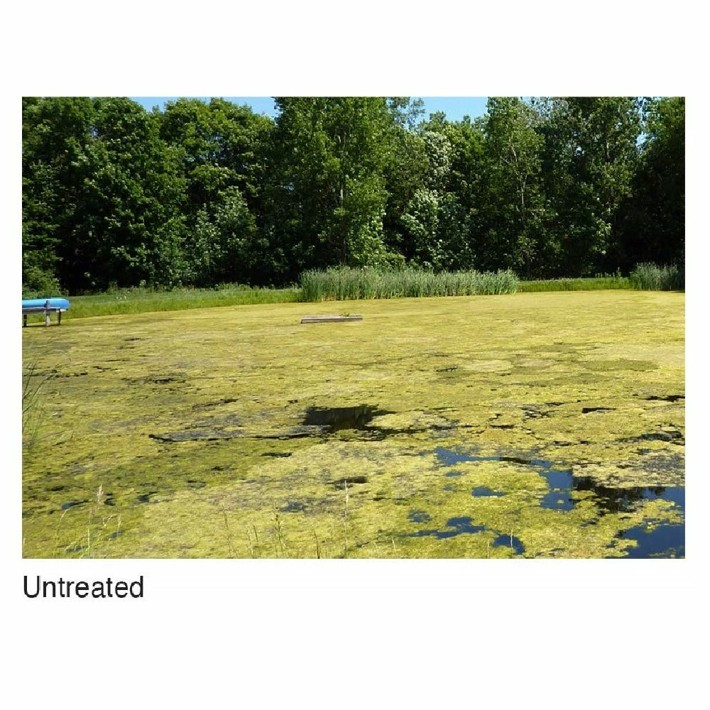 SePRO Applied Biochemists Cutrine Plus Algaecide, 1 Gallon - 1515.41 - Algaecides 2 SePRO Applied Biochemists Cutrine Plus Algaecide, 1 Gallon - 1515.41 - Algaecides - Image 2