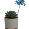 H & P Sales Small Succulent in Ceramic with Silver - 11155 - Annuals