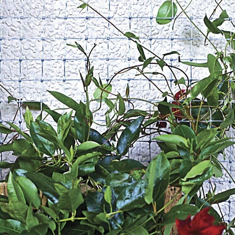 Garden Zone 24" x 50' Plastic Netting with 1" Mesh, Grey - 312450 - Fence and Wire 3 Garden Zone 24" x 50' Plastic Netting with 1" Mesh, Grey - 312450 - Fence and Wire - Image 3