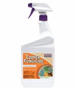 Bonide Ready-To-Use Liquid Copper Fungicide, 32 Ounce - 775 - Plant Protection & Support