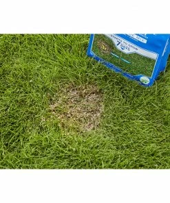 Scotts PatchMaster Sun & Shade Lawn Repair Mix, 4.75 lbs. - 14905 - Grass Seed -Cheap Lawn Shop 1cad6028a0dad554dcd0ad59a0bade5d7dfc44a6 19990088 7