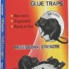 Pic Mouse & Rat Glue Trap 2 Pack - GT-2 - Baits & Traps