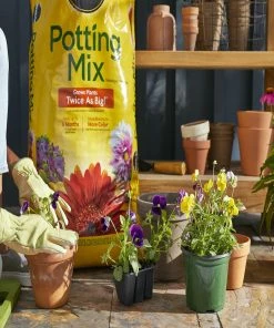 Scotts Miracle-Gro Potting Mix, 2 Cu. Ft. - 75652300 - Soils -Cheap Lawn Shop 2ca2c47cf178f26c1ce704615147882d47de64c0 19990512 6