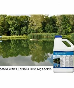SePRO Applied Biochemists Cutrine Plus Algaecide, 1 Gallon - 1515.41 - Algaecides 5 SePRO Applied Biochemists Cutrine Plus Algaecide, 1 Gallon - 1515.41 - Algaecides -Cheap Lawn Shop 34a7f5887a8c5be3e367234b90db80c51f40a41b 65260092 2