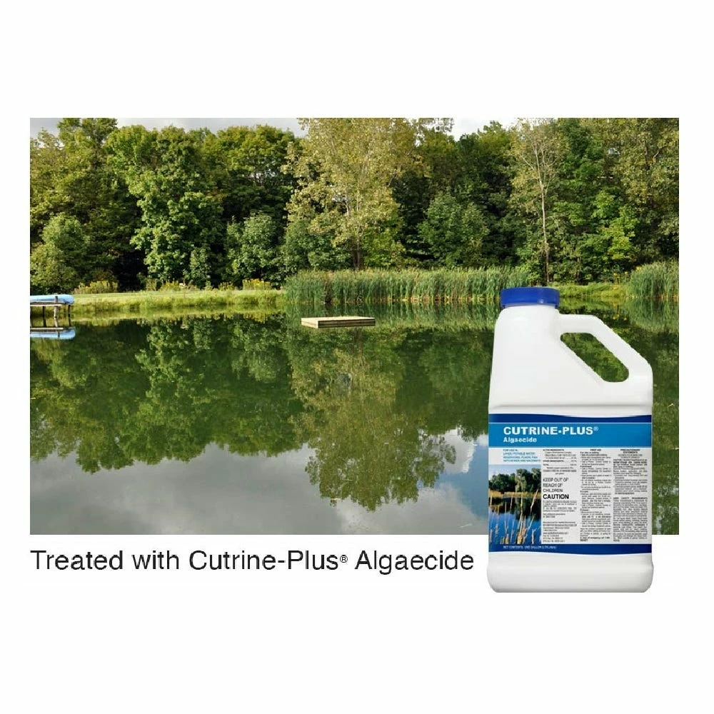 SePRO Applied Biochemists Cutrine Plus Algaecide, 1 Gallon - 1515.41 - Algaecides 3 SePRO Applied Biochemists Cutrine Plus Algaecide, 1 Gallon - 1515.41 - Algaecides - Image 3