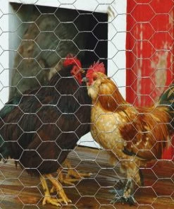 Garden Craft 60" x 150' Chicken Wire with 1" Openings - 166015 - Fence and Wire 8 Garden Craft 60" x 150' Chicken Wire with 1" Openings - 166015 - Fence and Wire -Cheap Lawn Shop 3817944089a92cb7a252340dd9c853065e13bbc4 166015 3