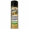 Spectracide® Carpenter Bee Spray, 16 OZ - HG53371 - Insecticides