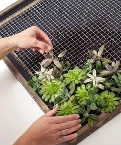 Garden Craft 24" x 50' Galvanized Hardware Cloth with 1/2" Openings - 132450 - Fence and Wire 9 Garden Craft 24" x 50' Galvanized Hardware Cloth with 1/2" Openings - 132450 - Fence and Wire -Cheap Lawn Shop 54642b1c02a16875c17c6f6aeb5ce460081c97ae 132450 4