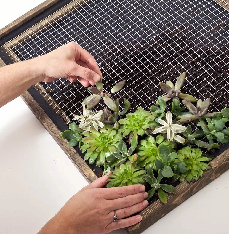 Garden Craft 24" x 50' Galvanized Hardware Cloth with 1/2" Openings - 132450 - Fence and Wire 5 Garden Craft 24" x 50' Galvanized Hardware Cloth with 1/2" Openings - 132450 - Fence and Wire - Image 5