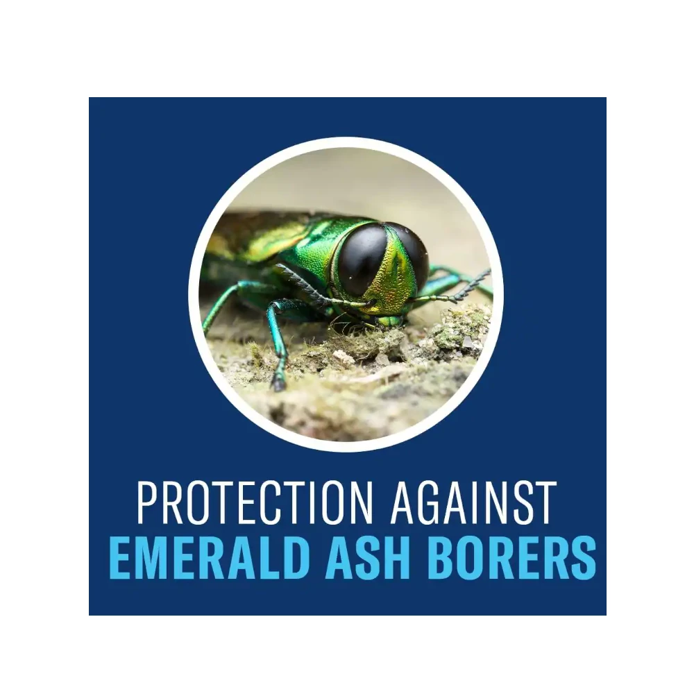 Bayer BioAdvanced 12 Month Tree & Shrub Protect & Feed II Concentrate, 1gal - 701615A - Fertilizers & Plant Food 3 Bayer BioAdvanced 12 Month Tree & Shrub Protect & Feed II Concentrate, 1gal - 701615A - Fertilizers & Plant Food - Image 3