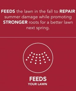 Scotts Turf Builder Winterguard Fall Lawn Food, 5,000 sq. ft. - 38605D - Fertilizers & Plant Food -Cheap Lawn Shop 62228d1786f64dac61a7fae26bfd2da31712fec3 19990062 4