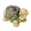 Alpine Tortoise Moss Planter - BEH166HH - Garden Accessories