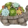 Assorted Alpine Solar Polyresin Turtle with Flower SLL1882SLR