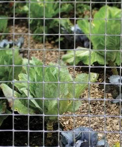 Garden Zone 24" x 50' Plastic Netting with 1" Mesh, Grey - 312450 - Fence and Wire 8 Garden Zone 24" x 50' Plastic Netting with 1" Mesh, Grey - 312450 - Fence and Wire -Cheap Lawn Shop 6ed56e248284690aa0bcb45b19f4ea914e04c779 312450 5