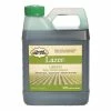 Sanco Industries Lazer Green Spray Pattern Indicator, Quart - 00123 - Weed & Plant Control