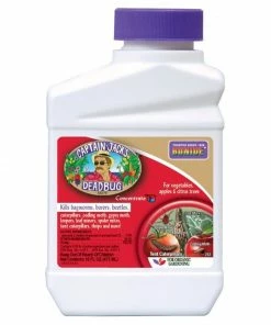 Bonide Dead Bug Brew Concentrate, 16 Ounce - 252 - Bug Candles & Zappers