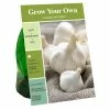 Van Zyverden, Inc. Van Zyverden Inc. Garlic Regular 00945 - Vegetables