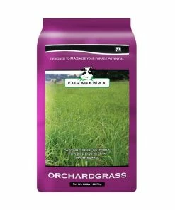 Various Brands Forage Max Orchard Grass Seed 50lb - SEEDORCHARD
