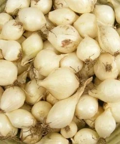 Various Brands Yellow Onion Sets - Vegetables