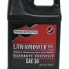 Briggs & Stratton SAE-30 4-Cycle Lawnmower Engine Oil, 48 oz. - 100028 - Lawn & Garden Tools