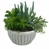 NMG 8In Succulent Bowl - 72926 - Plants, Shrubs & Trees