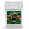 Repellex Mole & Gopher Repellent - 10545 - Animal Repellants