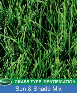 Scotts Turf Builder Sun & Shade Mix Grass Seed, 7 lb. - 18221 12 Scotts Turf Builder Sun & Shade Mix Grass Seed, 7 lb. - 18221 -Cheap Lawn Shop bea6502c52a2dcf2040680721791b386ab07b3fa 19990065 4