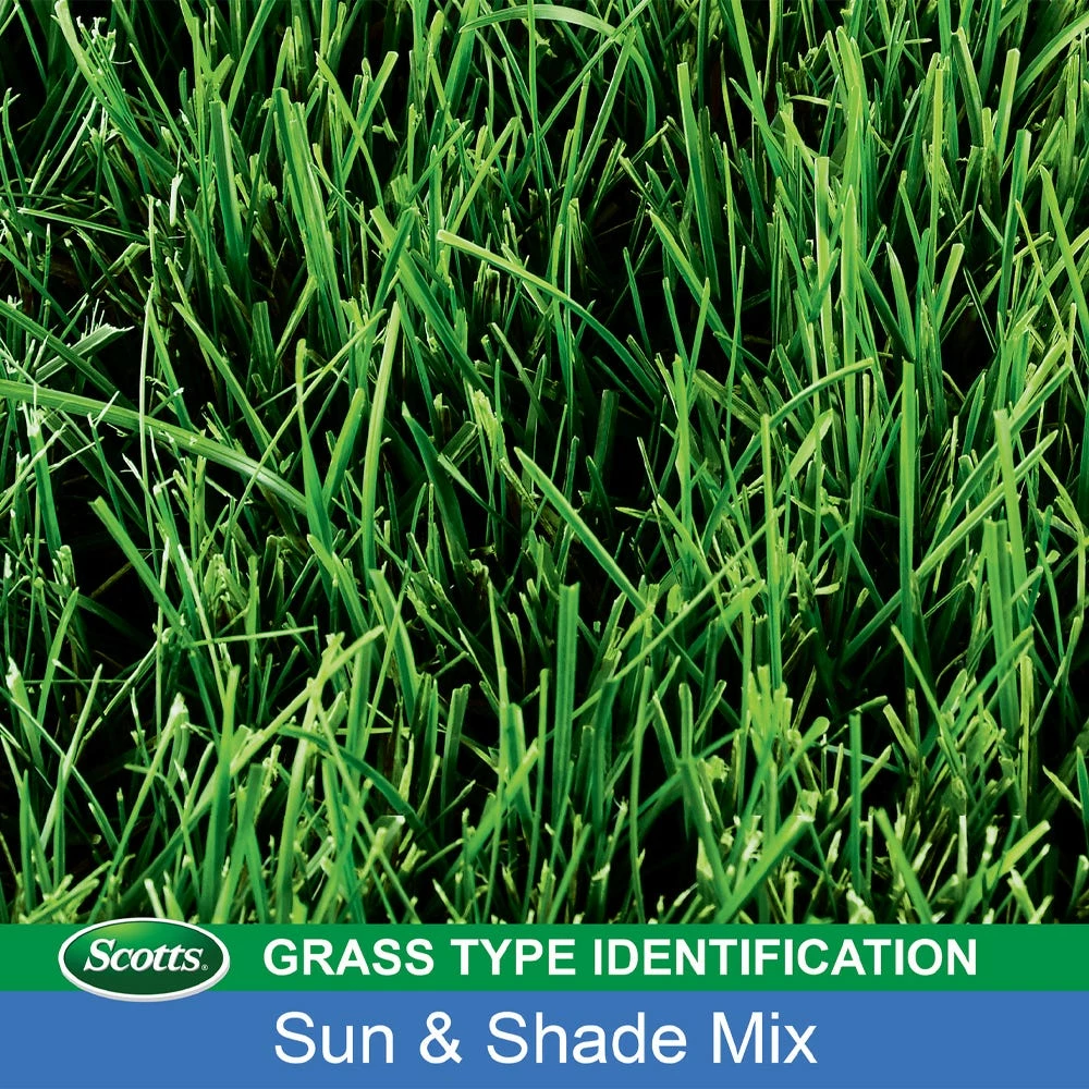 Scotts Turf Builder Sun & Shade Mix Grass Seed, 7 lb. - 18221 4 Scotts Turf Builder Sun & Shade Mix Grass Seed, 7 lb. - 18221 - Image 4