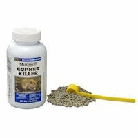 Motomco Rodent and Gopher Killer - 32546 - Baits & Traps