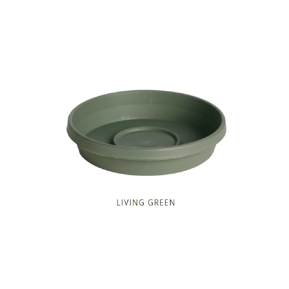 Bloem Terra 12" Living Green Saucer - 51412 - Decorative Planters 1 Bloem Terra 12" Living Green Saucer - 51412 - Decorative Planters