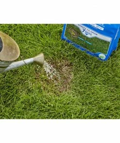 Scotts PatchMaster Sun & Shade Lawn Repair Mix, 4.75 lbs. - 14905 - Grass Seed -Cheap Lawn Shop d9e8c0ad33d171b2e25c36b20b8aebd53112af24 19990088 6