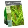 Van Zyverden, Inc. Van Zyverden Inc. Fern Cinnamon 09582 - Garden Center