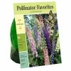 Van Zyverden, Inc. Van Zyverden Inc. Delphinium Blend 01989 - Garden Center