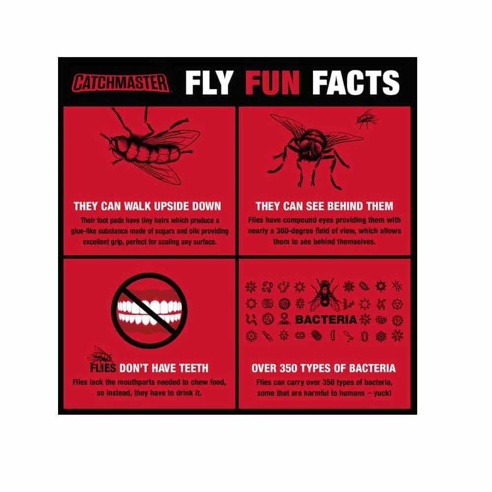 Catchmaster Scented Bug and Fly Catcher Fly Ribbon - 9144B4 - Bug Candles & Zappers 5 Catchmaster Scented Bug and Fly Catcher Fly Ribbon - 9144B4 - Bug Candles & Zappers - Image 5