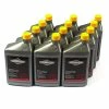 Briggs & Stratton Briggs and Stratton Synthetic Blend SAE 5W30 Winter Oil 100074 - Small Engines & Accessories