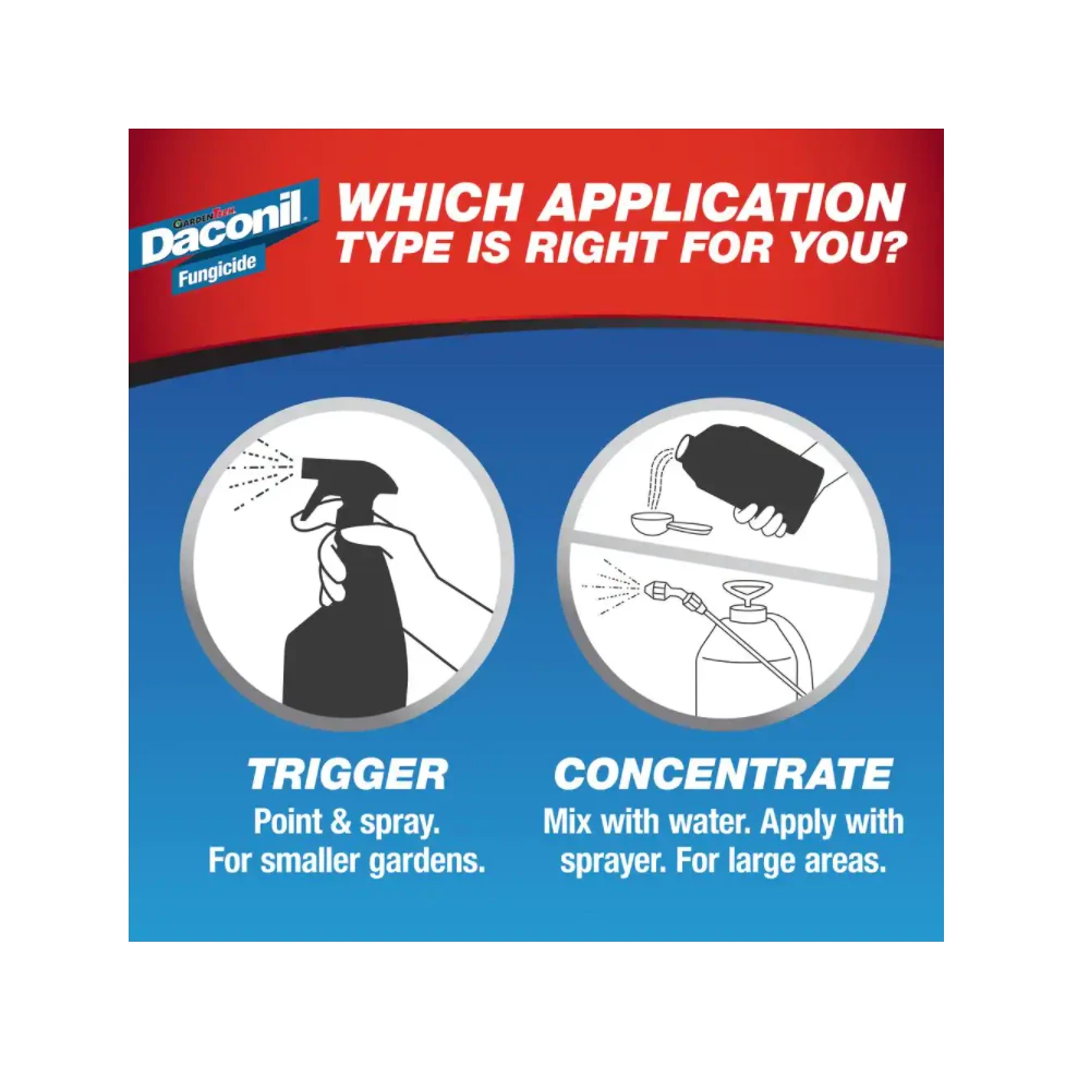 Daconil Fungicide Concentrate Pint - 100536524 - Fertilizers & Plant Food 4 Daconil Fungicide Concentrate Pint - 100536524 - Fertilizers & Plant Food - Image 4