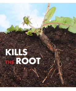 SPECTRACIDE® Weed & Grass Killer2 With ACCUSHOT® Sprayer - HG-96370 - Herbicides -Cheap Lawn Shop ead3a7319349990839adf6db9c0f823e2c13b6a4 90051062 7