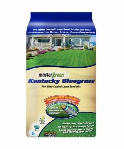 Various Brands Kentucky Bluegrass Grass Seed, 50lb - SEEDKBLUE 50#