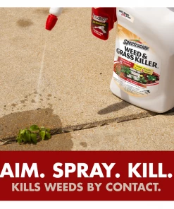 SPECTRACIDE® Weed & Grass Killer2 With ACCUSHOT® Sprayer - HG-96370 - Herbicides -Cheap Lawn Shop ecc30f410df0f4cea22b6f57f3f0953ff0a315b7 90051062 4