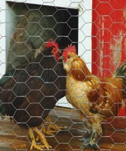 Garden Craft 60" x 50' Chicken Wire with 1" Openings - 166050 - Fence and Wire -Cheap Lawn Shop ee4fc1ef6ccb3e2818ed8e3b53c1059f2347e874 166050 5