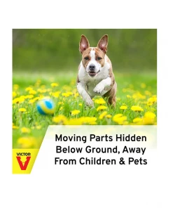 Victor Plunger Style Mole Trap 0645 - Baits & Traps 12 Victor Plunger Style Mole Trap 0645 - Baits & Traps -Cheap Lawn Shop f420997bd90208431aec65e78b617dd4479d6670 55610063 3