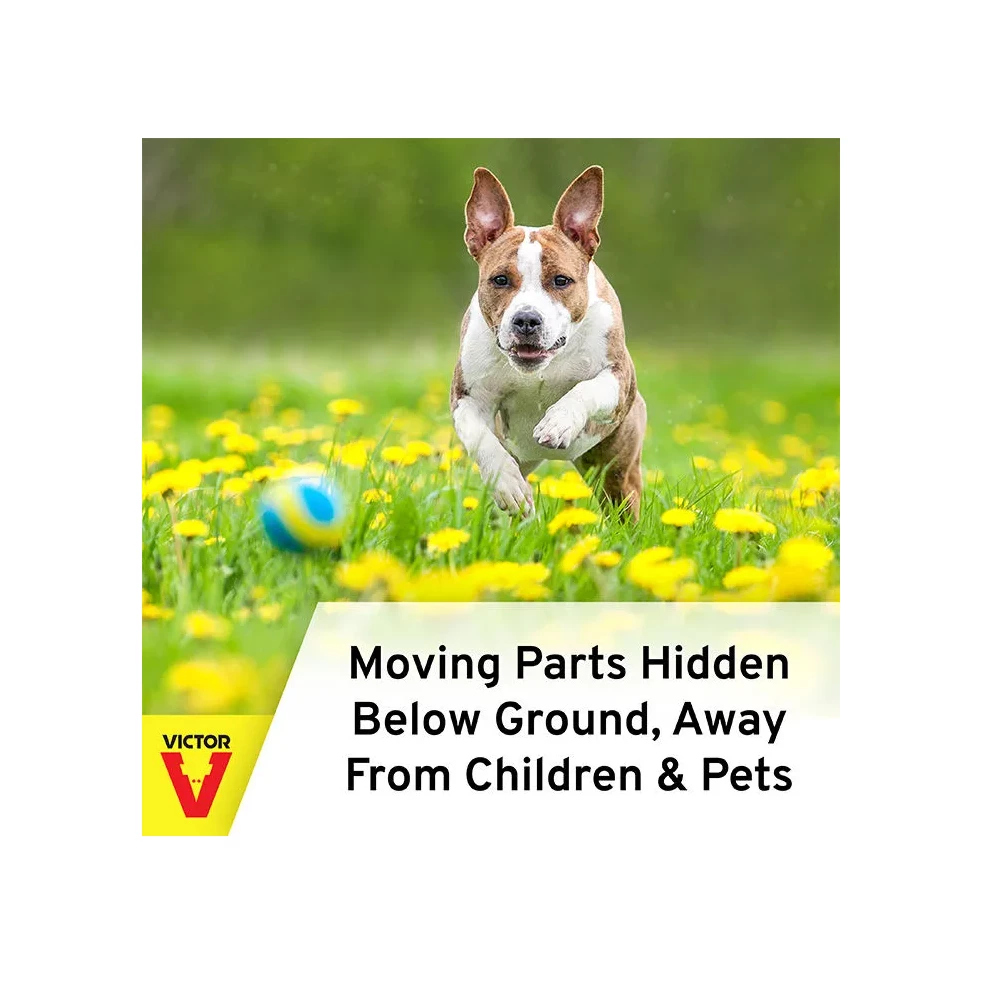 Victor Plunger Style Mole Trap 0645 - Baits & Traps 5 Victor Plunger Style Mole Trap 0645 - Baits & Traps - Image 5