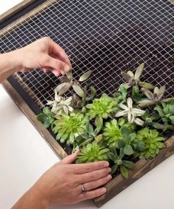 Garden Craft 36" x 25' Galvanized Hardware Cloth with 1/2" Openings - 133625 - Fence and Wire 9 Garden Craft 36" x 25' Galvanized Hardware Cloth with 1/2" Openings - 133625 - Fence and Wire -Cheap Lawn Shop f4f92ef98b60181f1bc9d5ef84549c95ecb80c3a 133625 4