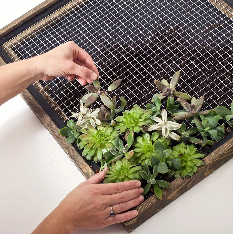 Garden Craft 36" x 25' Galvanized Hardware Cloth with 1/2" Openings - 133625 - Fence and Wire 5 Garden Craft 36" x 25' Galvanized Hardware Cloth with 1/2" Openings - 133625 - Fence and Wire - Image 5