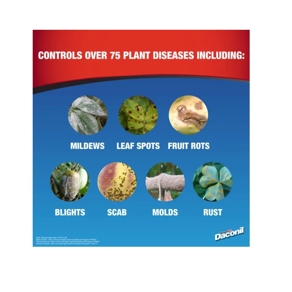 Daconil Fungicide Concentrate Pint - 100536524 - Fertilizers & Plant Food 2 Daconil Fungicide Concentrate Pint - 100536524 - Fertilizers & Plant Food - Image 2