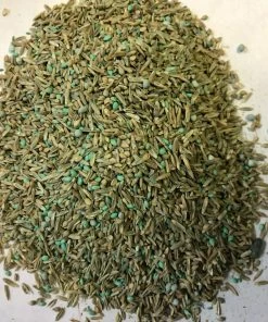 Hancock's Pasture Mix South, 25 lb. Bag - HSC0503 - Seeds & Bulbs